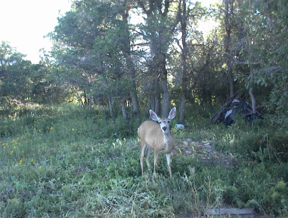 DSC00007
