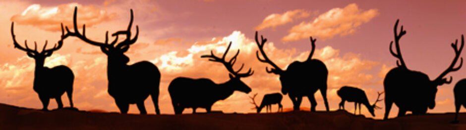 HAGEMAN RANCH SELF GUIDED HUNTING